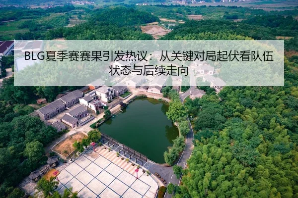 BLG夏季赛赛果引发热议：从关键对局起伏看队伍状态与后续走向